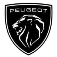 Sacs de rangement de coffre pour Peugeot