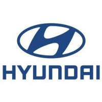 Sacs de rangement de coffre pour Hyundai